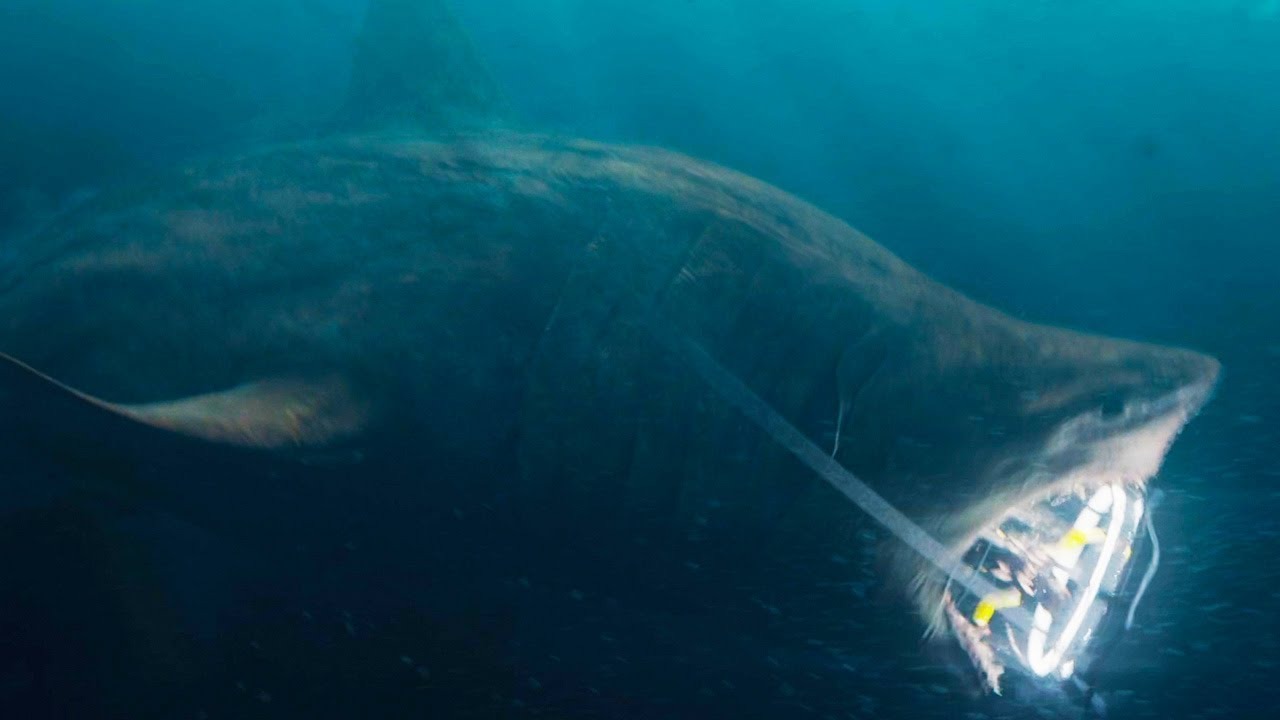 รีวิว The Meg ฉลามยักษ์กินคน
